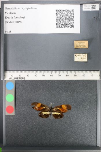 Media type: image;   Entomology 100900